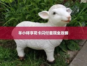 成都当面套羊小咩享花卡取现全攻略