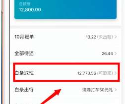 京东白条提现全攻略，如何安全、高效地将资金转出？