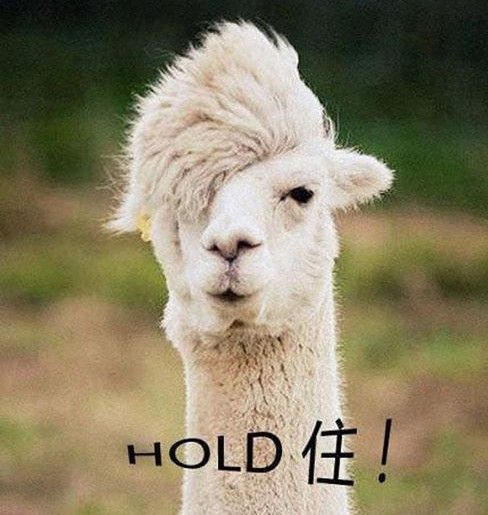 羊小咩便荔卡提现取现，轻松掌握取现技巧