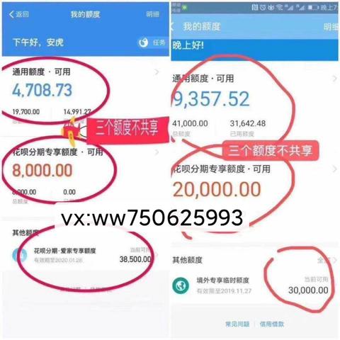 得物佳物分期额度的获取与运用